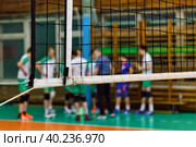 Coach analyze game of volleyball team during timeout in school sport old gym. Background for team volleyball games. Concept of getting sport, healthy lifestyle and team success. Copy ad text space. Стоковое фото, фотограф Aleksandr Golubev / Фотобанк Лори