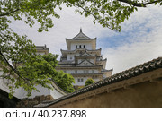Himeji castle (UNESCO World Heritage), Japan. Замок Белой Цапли в Химэдзи, Япония (2017 год). Редакционное фото, фотограф Римма Тельнова / Фотобанк Лори