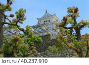 Himeji castle (UNESCO World Heritage), Japan. Замок Белой Цапли в  Химэдзи, Япония (2017 год). Стоковое фото, фотограф Римма Тельнова / Фотобанк Лори