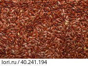 Flaxseed Culinary background. Flax seed close-up. Linseeds. Vegan and vegetarian cuisine. Top view, selective focus. Стоковое фото, фотограф Виктория Панченко / Фотобанк Лори
