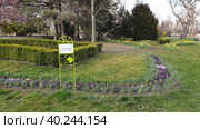 Парк культуры и отдыха Донаупарк (Donaupark). Район Донауштадт. Город Вена. Австрия (2023 год). Редакционное фото, фотограф lana1501 / Фотобанк Лори