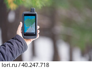 Tourist navigator in a shockproof rubberized case in a man's hand on a blurry background of a winter forest. On the screen is a map of the area and waypoints. Стоковое фото, фотограф Роман Дзюбало / Фотобанк Лори