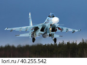Многоцелевой истребитель Су-30СМ ВКС России (2021 год). Редакционное фото, фотограф Александр Тарасенков / Фотобанк Лори