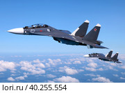Многоцелевой истребитель Су-30СМ морской авиации ВМФ России (2019 год). Редакционное фото, фотограф Александр Тарасенков / Фотобанк Лори