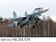 Многоцелевой истребитель Су-30СМ ВКС России (2020 год). Редакционное фото, фотограф Александр Тарасенков / Фотобанк Лори