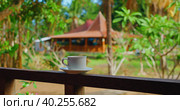 Morning cup of balinese coffee drink on the balcony with tropical green garden background. Bali Island Nusa Penida Indonesia. Стоковое фото, фотограф Ольга Сухарева / Фотобанк Лори