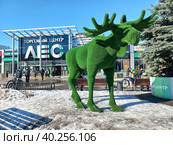 Торговый центр "Лес". Хабаровская улица, 15. Район Гольяново. Город Москва (2023 год). Редакционное фото, фотограф lana1501 / Фотобанк Лори