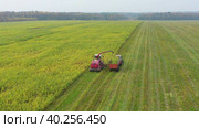 Drone follow combine harvester removes crop from green field into tractor. Стоковое видео, видеограф Кирилл Трифонов / Фотобанк Лори