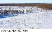 Западная Сибирь: вид на зимнюю тайгу с воздуха. Western Siberia: a view of the winter taiga from the air. Стоковое видео, видеограф Евгений Романов / Фотобанк Лори