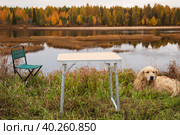 Tourist collapsible chair and table on the background of the autumn landscape. Стоковое фото, фотограф Александр Поташев / Фотобанк Лори