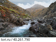 Горный ручей в ущелье. Суровый северный пейзаж со скалами, сопками, тундрой и низкими облаками. Арктическая природа. Гора Шторм, Чукотка, Сибирь, Дальний Восток России. Крайний Север. Стоковое фото, фотограф Андрей Степанов / Фотобанк Лори