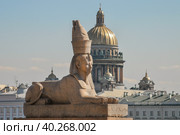 Сфинкс на фоне купола Исаакиевского собора в Петербурге (2010 год). Стоковое фото, фотограф Александр Алексеев / Фотобанк Лори