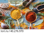 A set of fragrant spices. Turmeric, paprika, dried parsley, dill, rosemary, cumin, garlic, bay leaf and a bottle of oil on a gray background. Free space. Стоковое фото, фотограф Photojuli / Фотобанк Лори