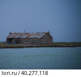Mudhif, the traditional house of Marsh arabs aka madan in Iraq. Стоковое фото, фотограф Сергей Майоров / Фотобанк Лори