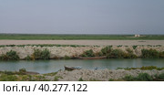 Mesopotamian Marshes, habitat of Marsh Arabs aka Madans, Basra Iraq. Стоковое фото, фотограф Сергей Майоров / Фотобанк Лори