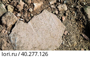 Close-up view to plate with cuneiform Sumerian text at the Ruins of Processional street of ancient Babylon, Hillah, Iraq (2011 год). Стоковое фото, фотограф Сергей Майоров / Фотобанк Лори