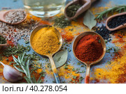 A set of fragrant spices. Turmeric, paprika, dried parsley, dill, rosemary, cumin, garlic, bay leaf and a bottle of oil on a gray background. Free space. Стоковое фото, фотограф Photojuli / Фотобанк Лори