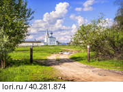Знаменский собор в Знаменском монастыре, Гороховец (2012 год). Стоковое фото, фотограф Baturina Yuliya / Фотобанк Лори