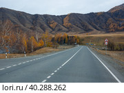 View of Chuysky Trakt in Altay mountains. Стоковое фото, фотограф Юлия Белоусова / Фотобанк Лори