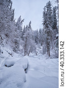 Footpath in winter taiga forest under heavy snow along Tevenek river on the bank of Teletskoe lake. Altai. Стоковое фото, фотограф Сергей Пристяжнюк (Serg Zastavkin) / Фотобанк Лори