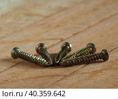 Close-up of chrome screws for fixing in wood, shallow depth of field selective focus. Стоковое фото, фотограф Александр Кротков / Фотобанк Лори