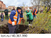 Общегородской весенний субботник.  Участники субботника во время высадки кустов в Рахманиновском сквере. (2023 год). Редакционное фото, фотограф Евгений Кашпирев / Фотобанк Лори