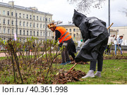 Общегородской весенний субботник. Участники субботника во время уборки листьев в Рахманиновском сквере. (2023 год). Редакционное фото, фотограф Евгений Кашпирев / Фотобанк Лори