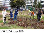 Общегородской весенний субботник. Участники субботника во время уборки листьев в Рахманиновском сквере. (2023 год). Редакционное фото, фотограф Евгений Кашпирев / Фотобанк Лори