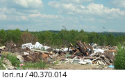 Waste dump in the forest. Stack of different types of large garbage dump, in environmental pollution concept. Стоковое видео, видеограф Владимир Федоров / Фотобанк Лори