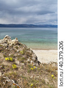 Baikal Lake. Yellow wild flowers of irises on the coast of Olkhon Island near the sandy beach of the shallow bay. Beautiful landscape. Natural background. Стоковое фото, фотограф Виктория Катьянова / Фотобанк Лори