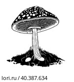 Black hand-drawn vector illustration of One fresh mushroom Fly agaric isolated on a white background. Стоковая иллюстрация, иллюстратор Татьяна Куклина / Фотобанк Лори