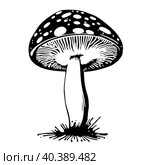 Black hand-drawn vector illustration of One fresh mushroom Fly agaric isolated on a white background. Стоковая иллюстрация, иллюстратор Татьяна Куклина / Фотобанк Лори