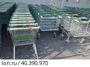 Покупательские торговые тележки на входе строительного магазина Ларуа Марлен (2023 год). Редакционное фото, фотограф Сергеев Валерий / Фотобанк Лори