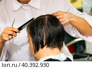 Real female haircut in a beauty salon. female hairdresser and client. women's business. wet haircut. side view. Стоковое фото, фотограф Антон Вахрушев / Фотобанк Лори