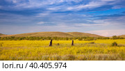 Stones in the Khakass steppe. Yellow field under blue sky. Dramatic clouds over the hills of Khakassia, Russia. Стоковое фото, фотограф Оксана Прахова / Фотобанк Лори