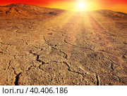 Sunset over cracked earth. The concept of drought, barren land, disaster, global warming. Cracked earth. Desert landscape. Стоковое фото, фотограф Оксана Прахова / Фотобанк Лори