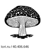 Black hand-drawn vector illustration of One fresh mushroom Fly agaric isolated on a white background. Стоковая иллюстрация, иллюстратор Татьяна Куклина / Фотобанк Лори
