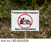 Предупредительная табличка "Разведение костров запрещено" в лесу. Стоковое фото, фотограф Вячеслав Палес / Фотобанк Лори