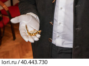Мужчина в темном костюме и белых перчатках держит в руке карманные золотые часы. Стоковое фото, фотограф Руслан Лесков / Фотобанк Лори