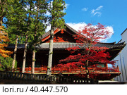Tosho-gu temple at autumn, Nikko, Japan (2013 год). Стоковое фото, фотограф Сергей Стрелков / Фотобанк Лори