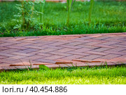 Clinker paving stones for laying paths in the garden. Стоковое фото, фотограф Юрий Поздников / Фотобанк Лори