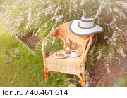 Coffee pot, coffee cup, pancakes and hat on wicker chair in garden on spiraea x cinerea "Grefsheim" flowers background. Стоковое фото, фотограф Elena Molodavkina / Фотобанк Лори