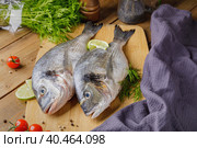 Raw peeled dorado fish with cooking ingredients. Fresh fish on a wooden background. Стоковое фото, фотограф Юрий Поздников / Фотобанк Лори