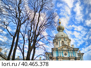 Russia, St. Petersburg. Smolny Cathedral (Church of the Resurrection) (2010 год). Стоковое фото, фотограф Анна Кривицкая / Фотобанк Лори
