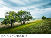 Покрытое травой и песком морское побережье в ветренную, штормовую погоду. Морское побережье. Стоковое фото, фотограф Андрей Пустякин / Фотобанк Лори