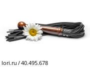 Bdsm leather black lash and yellow daisy flowers on a white background. Стоковое фото, фотограф Артем Курутин / Фотобанк Лори