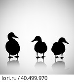 Silhouettes of ducks on a light background. Стоковая иллюстрация, иллюстратор Vicgmyr / Фотобанк Лори