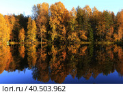 Осень. Стоковое фото, фотограф Анна Грин / Фотобанк Лори
