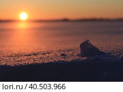 Закат. Стоковое фото, фотограф Анна Грин / Фотобанк Лори