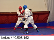 Championship in army hand-to-hand combat (2017 год). Редакционное фото, фотограф Анна Кривицкая / Фотобанк Лори